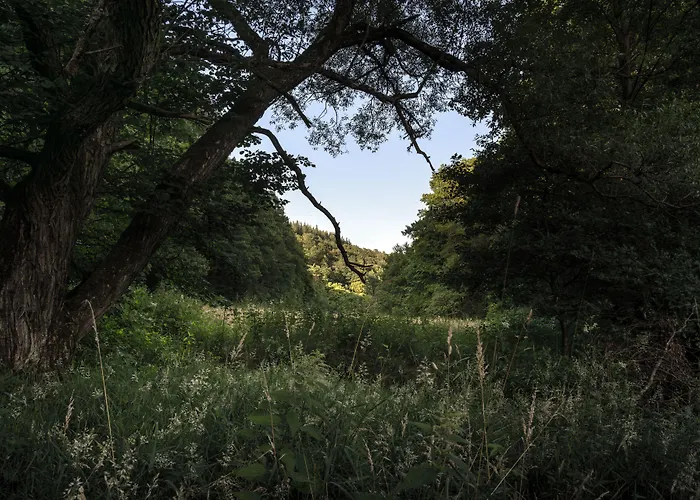 Sport-&seminarhotel Glockenspitze Hotel 4*